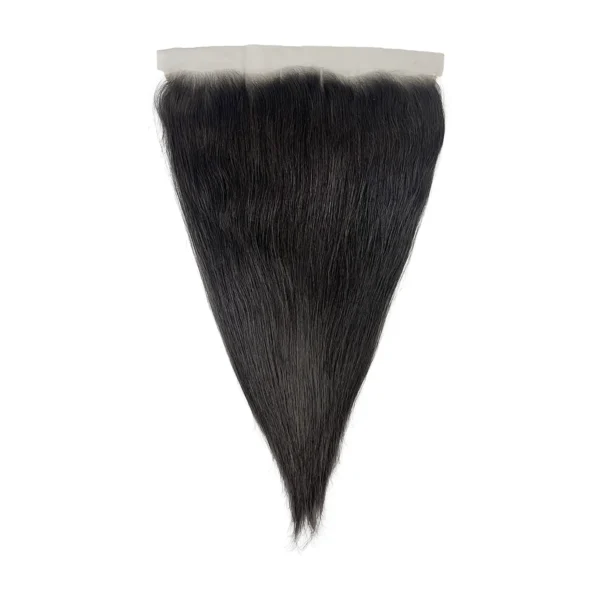 Indian Straight Hair 13×4 Lace Frontal 10a